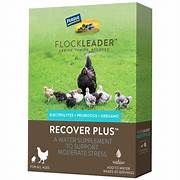 Flockleader Recover Plus Electrolyte & Probiotic Supplement - 8oz