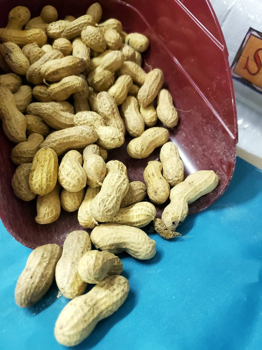 Whole Peanuts 25lb