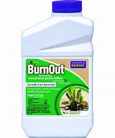 Burnout Weed and Grass Killer - 32oz