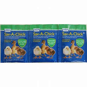 Sav A Chick Electrolyte