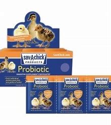 Sav A Chick Probiotic