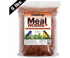 TradeKing Mealworms - 5lbs