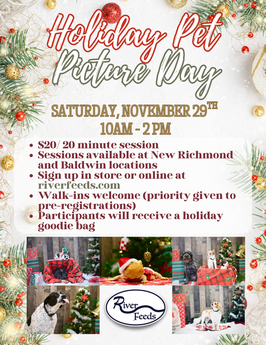 Holiday Pet Picture Day Ticket