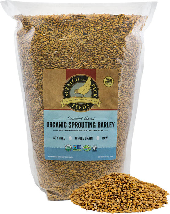 Organic Sprouting Barley