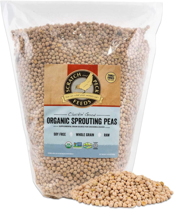 Organic Sprouting Peas