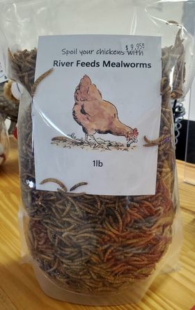 River Feeds Mealworms - 1lb