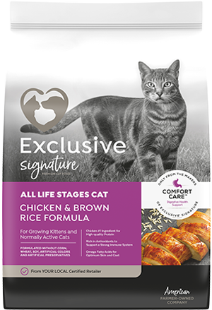 Exclusive All Life Stages Cat - 5lb.
