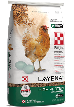 Purina Layena High Protein Layer - 10lb