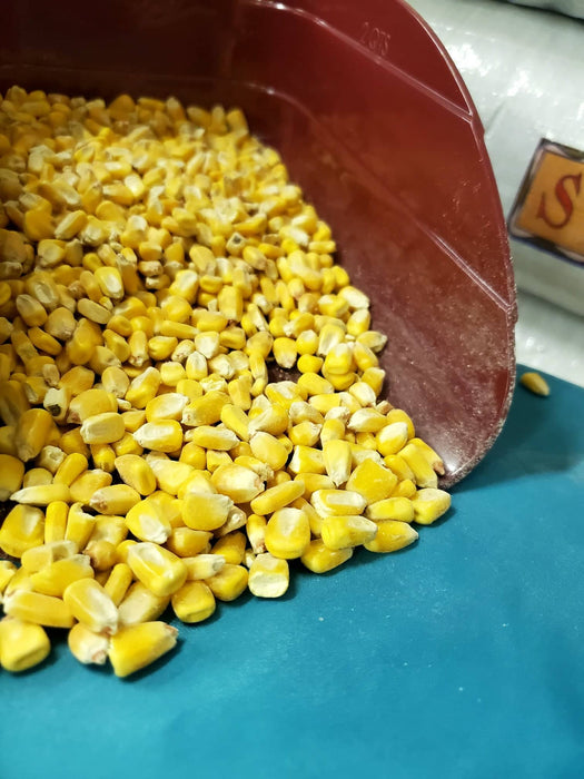 Whole Corn 50lb