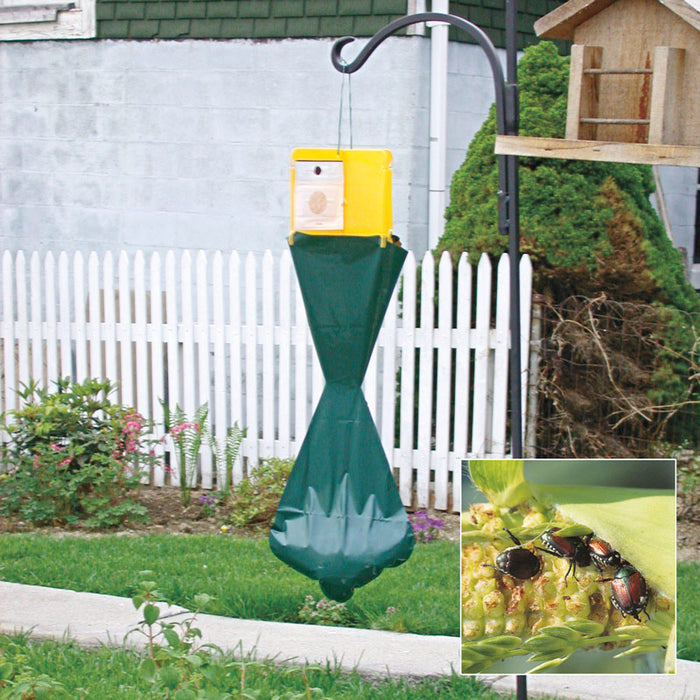 The Japanese Beetle Trap