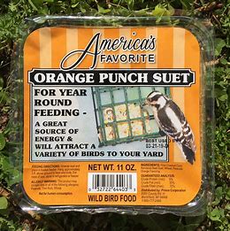 America's Favorite Orange Punch Suet