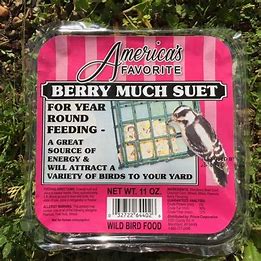 America's Favorite Berry Much Suet