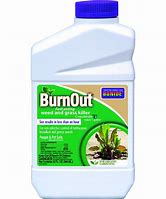 burnout herbicide Burnout Weed and Grass Killer
