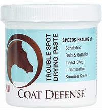 Coat Defense Trouble Spot Drying Paste - 10oz