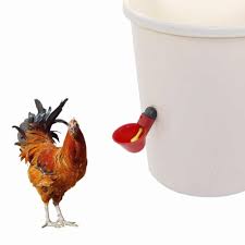 Poultry Drinking Cups - 2pk
