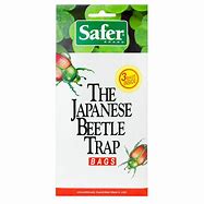 Japanese Beetle Trap Bags - 3pk
