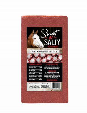 Sweet-n-Salty Peppermint Trace Mineral Brick - 4lb