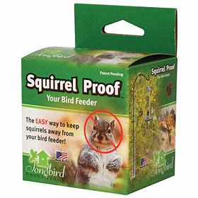 Squirrel Proof Spring